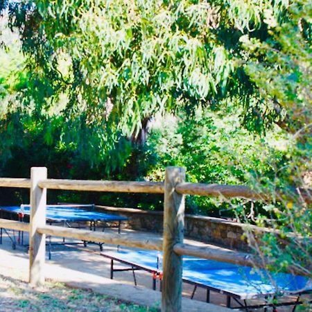 ル・ラヴァンドゥーMazet « Domaine De La Pinede »アパートメント エクステリア 写真
