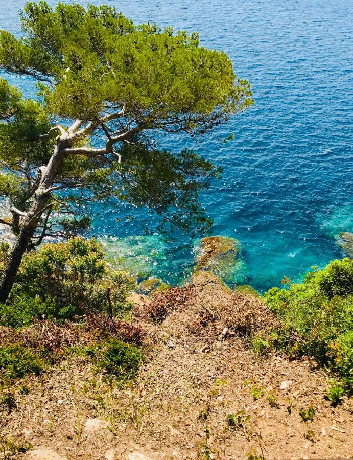 ル・ラヴァンドゥーMazet « Domaine De La Pinede »アパートメント エクステリア 写真
